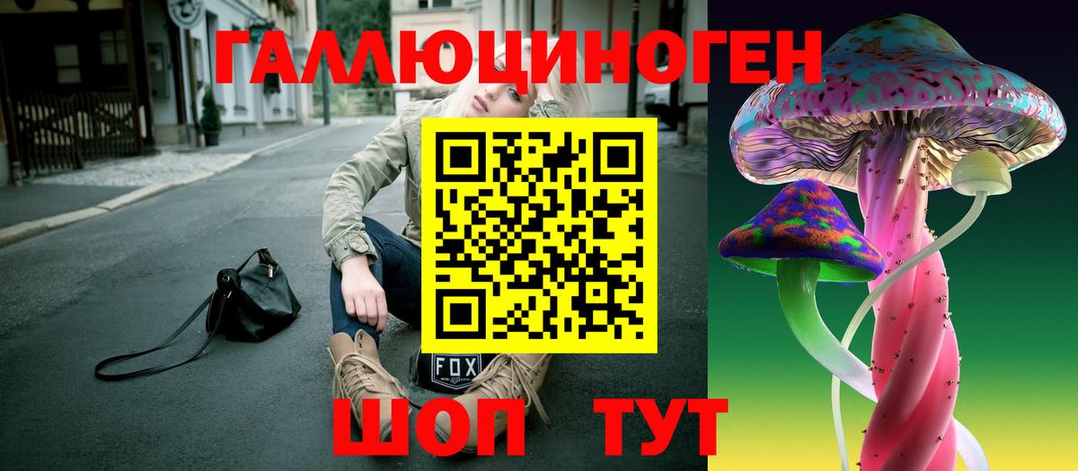 Псилоцибиновые грибы мухоморы Новосибирск