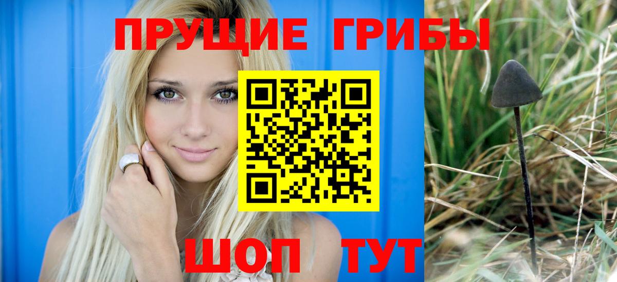 Новосибирск  Псилоцибиновые грибы Psilocybe  наркошоп  Вход с VPN 